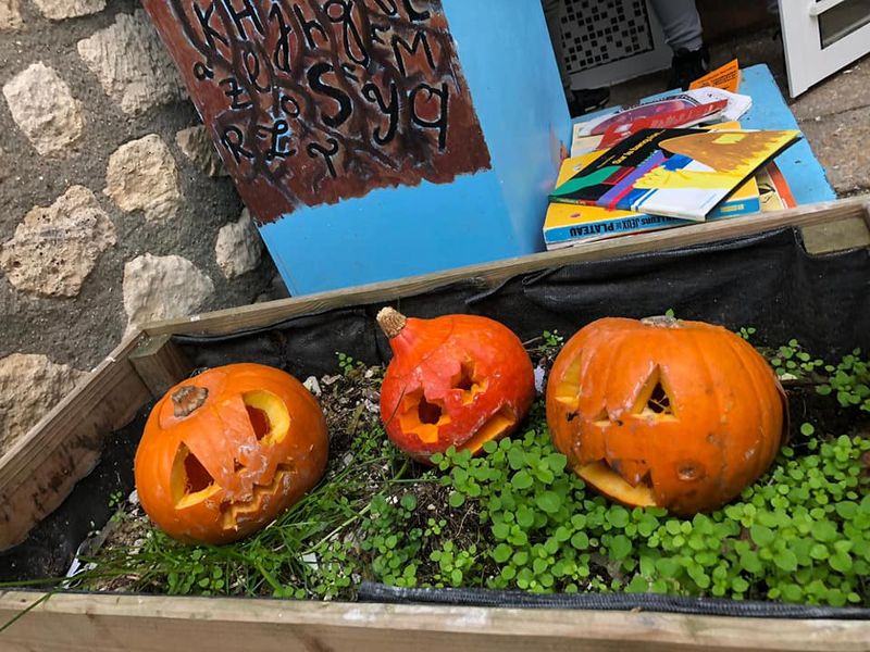 Photos citrouilles halloween à l'entrée