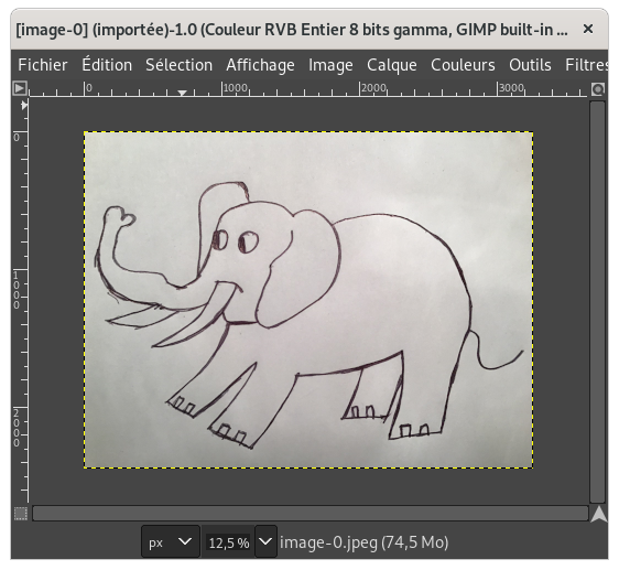 Image éléphant dans GIMP (originale)
